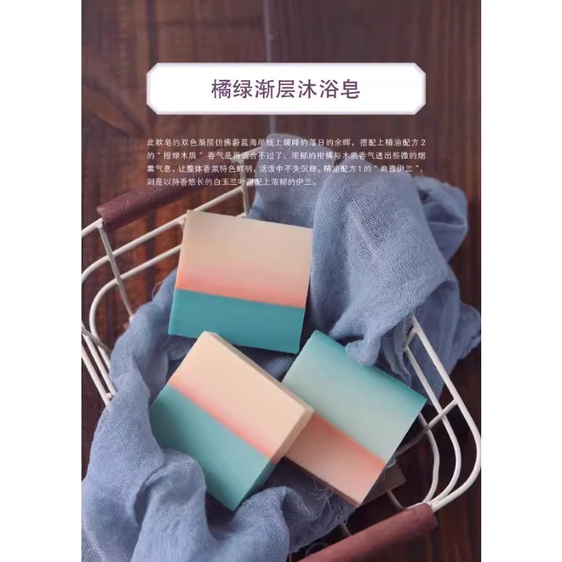 DIY Scented Soap Making Book w - Soap Making Guide Book 评论和价格