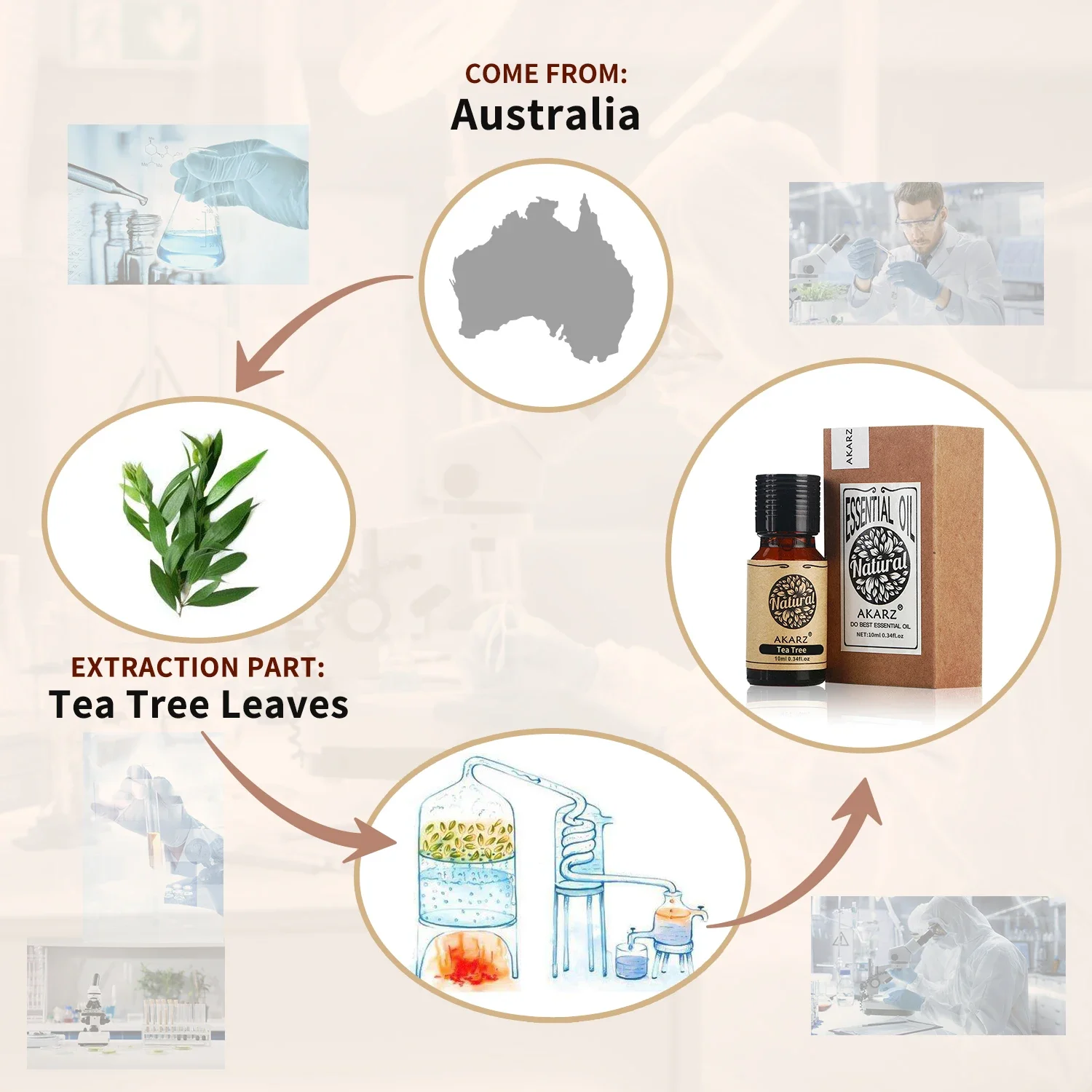 AKARZ Rosemary Essential Oil N - Soap Making Ingredient 评论和价格